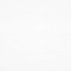 Birch white