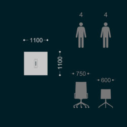 1100x1100